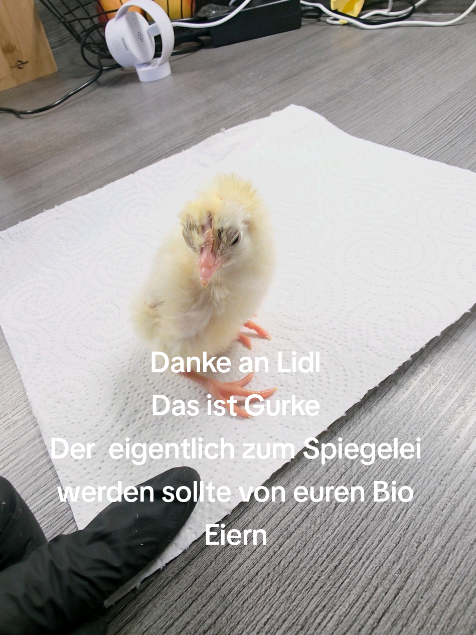 @Fanny J&auml;ger