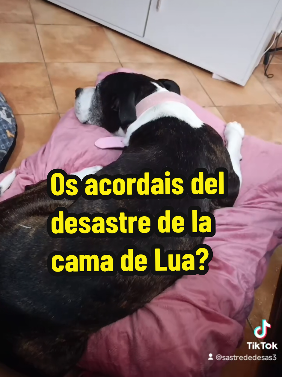 @La Magia de Oz...®.❤️🩵