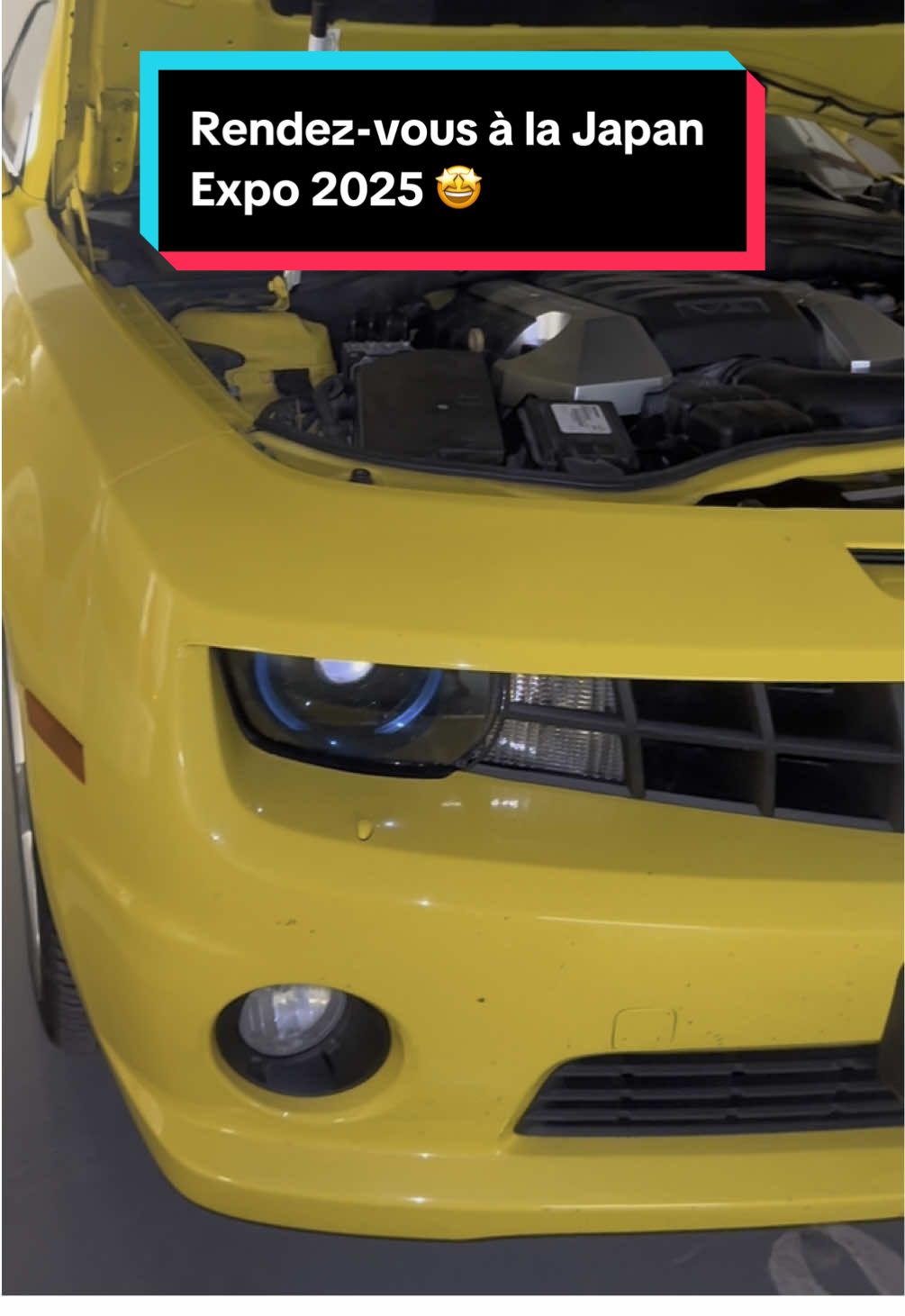 @BumblebeeCosplayeuse
