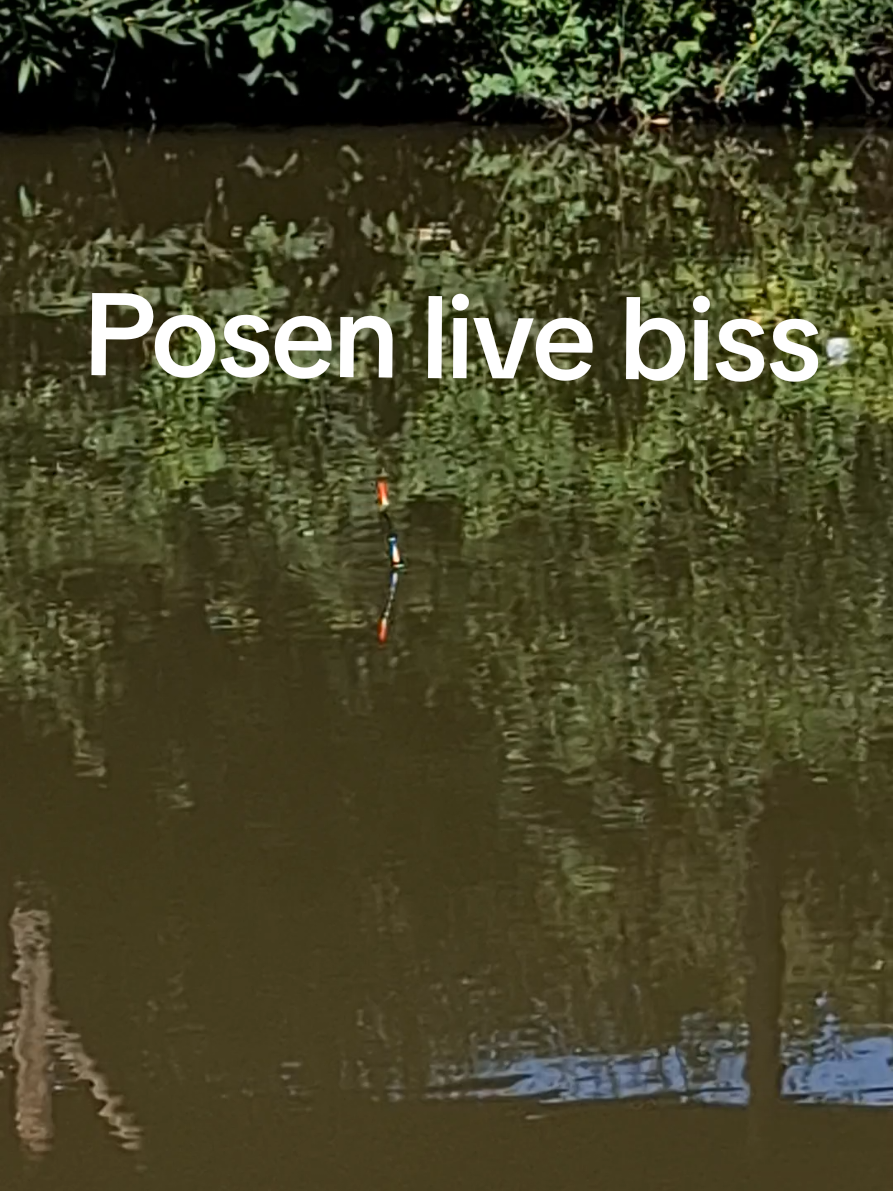@erlebniss_angeln