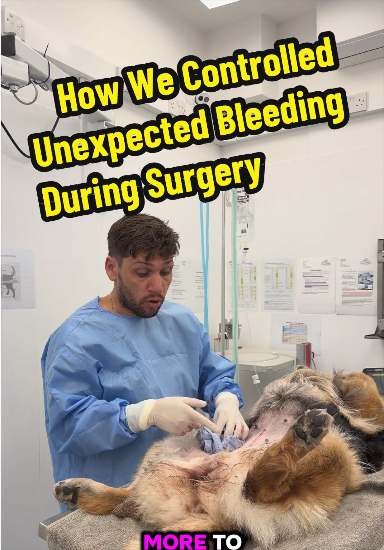 @Tomasthevet