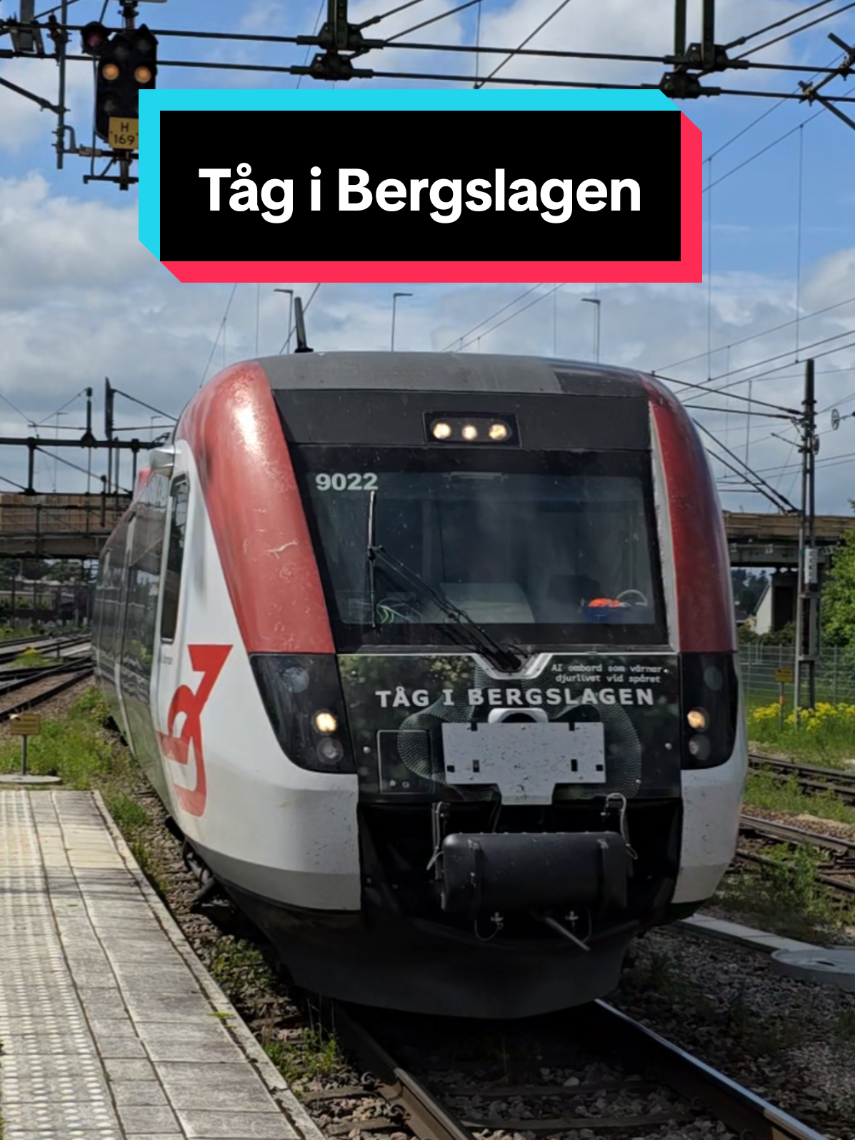 @trainspotter LK 🚂💯