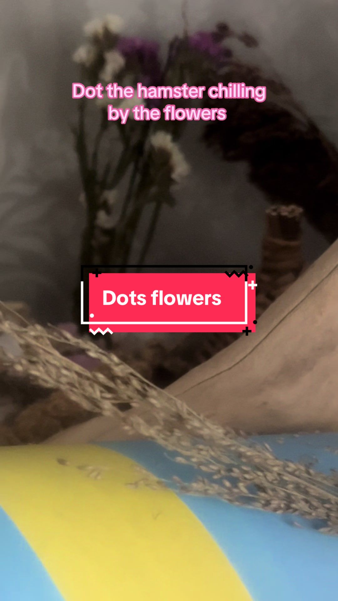 @The land of Dot