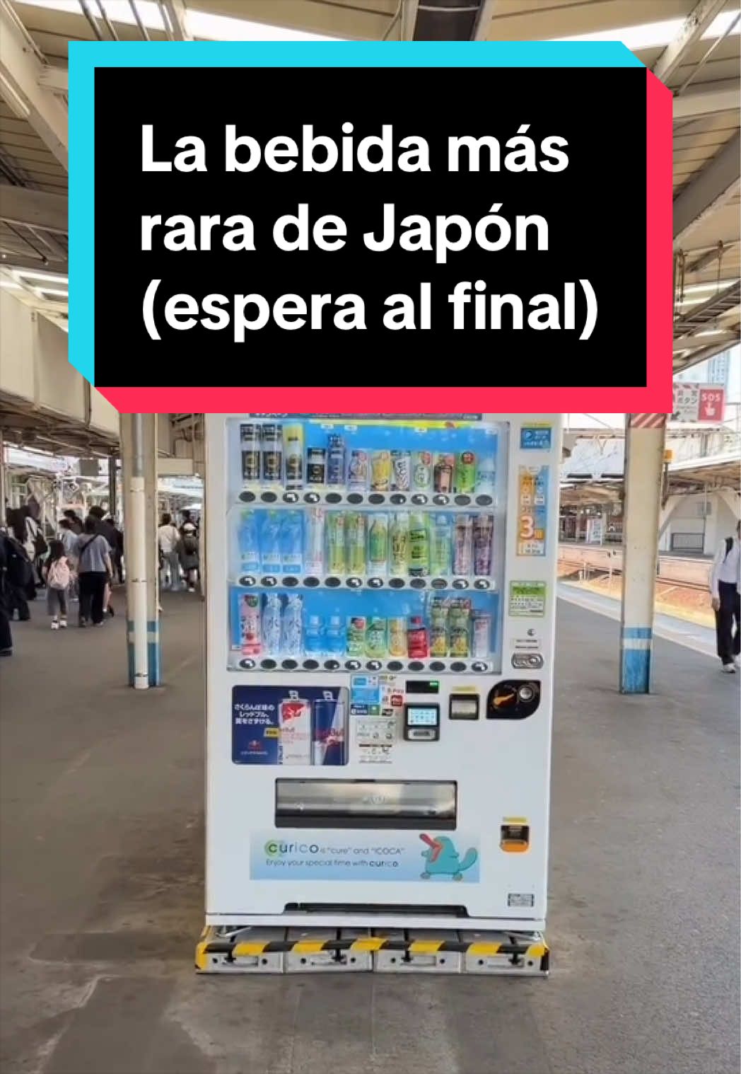 @Jap&oacute;n Alternativo