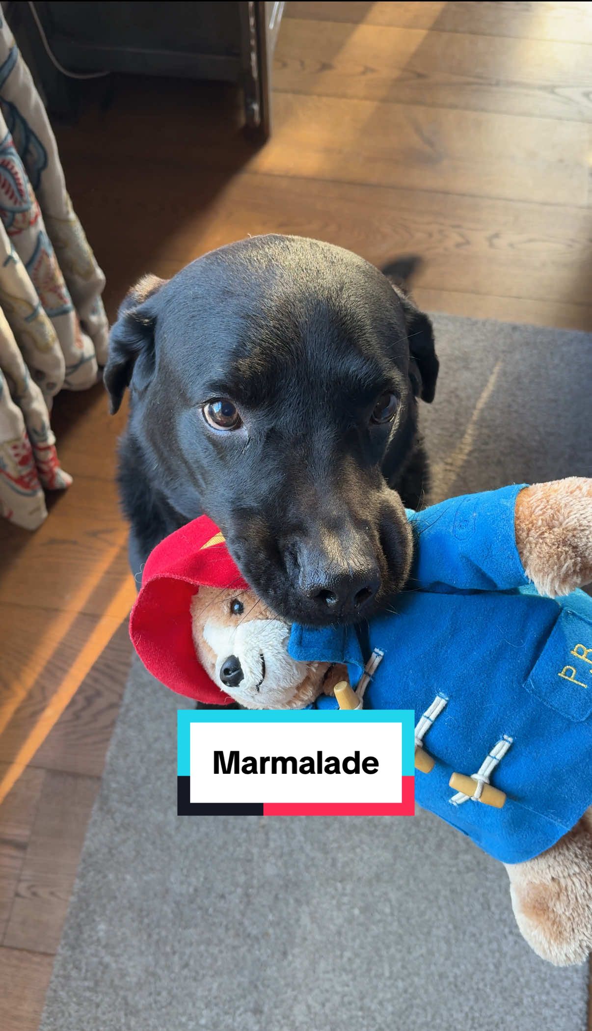 @Denzel The Labraseal