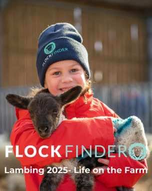 @FlockFinder