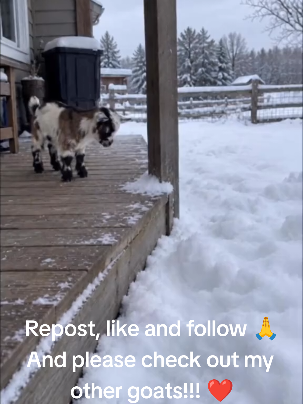 @FrankieD
