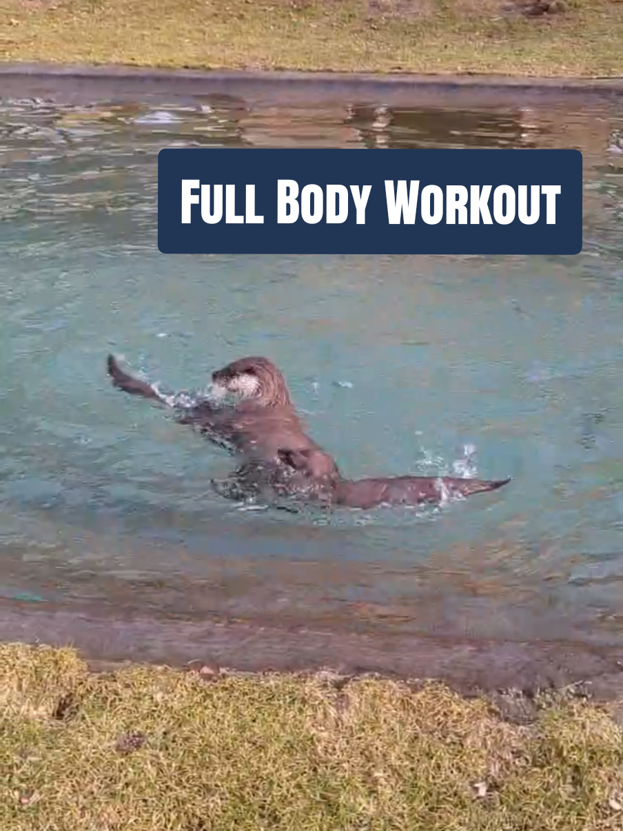 @WildparkLH