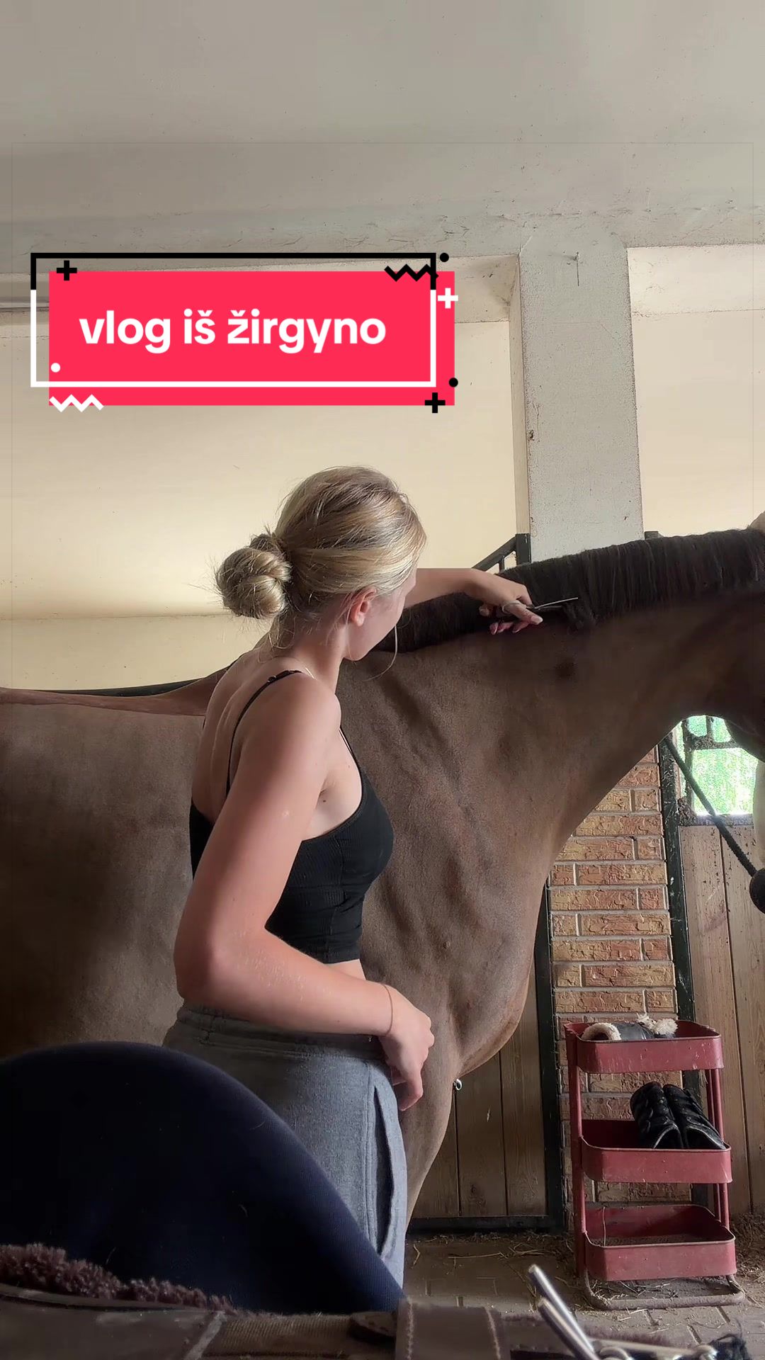 @lugneliu