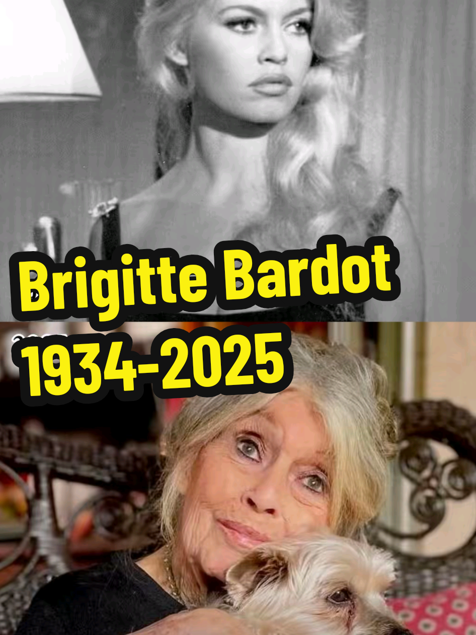 @Crazykitsch
