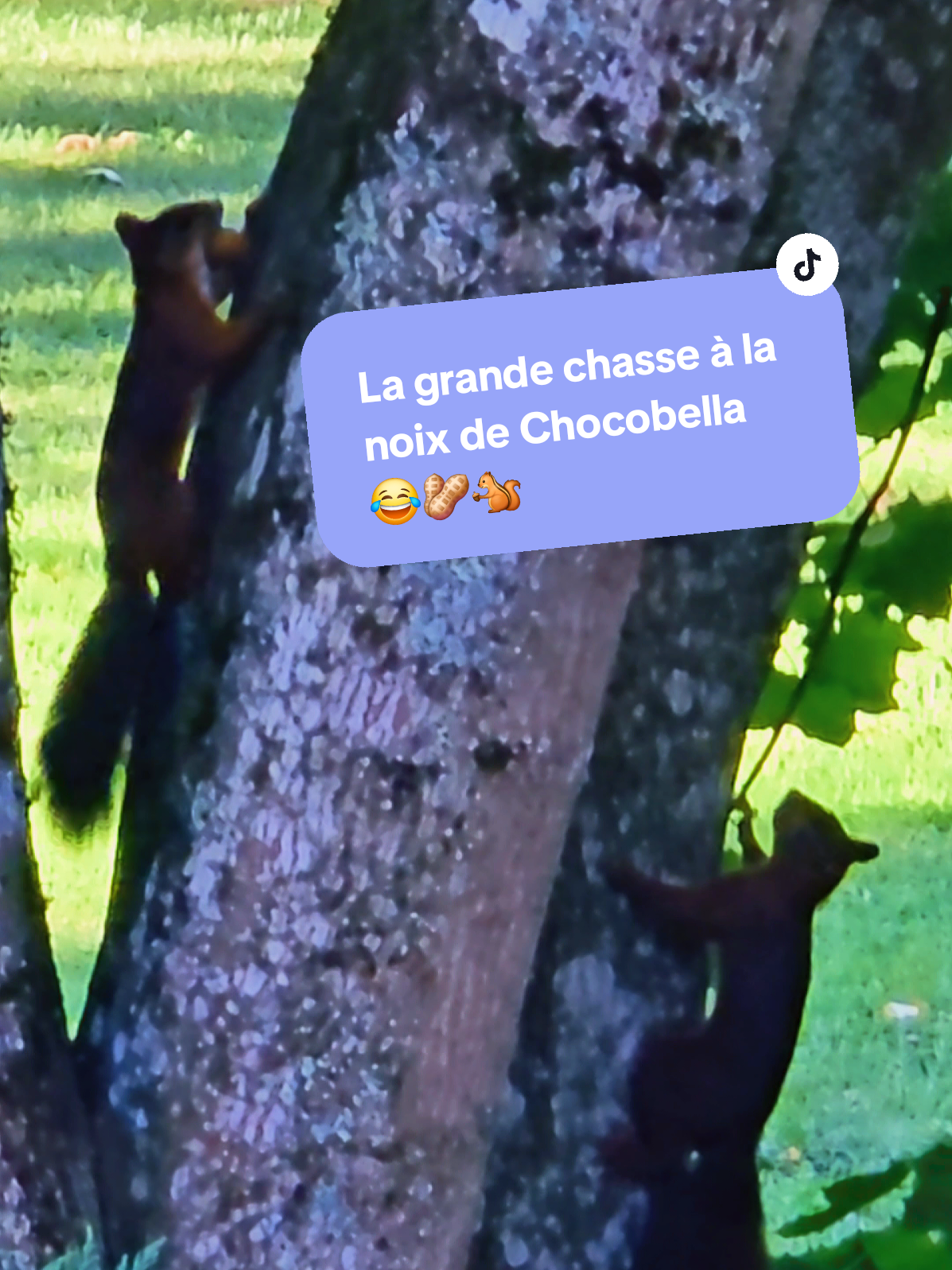 @NoémieRose26