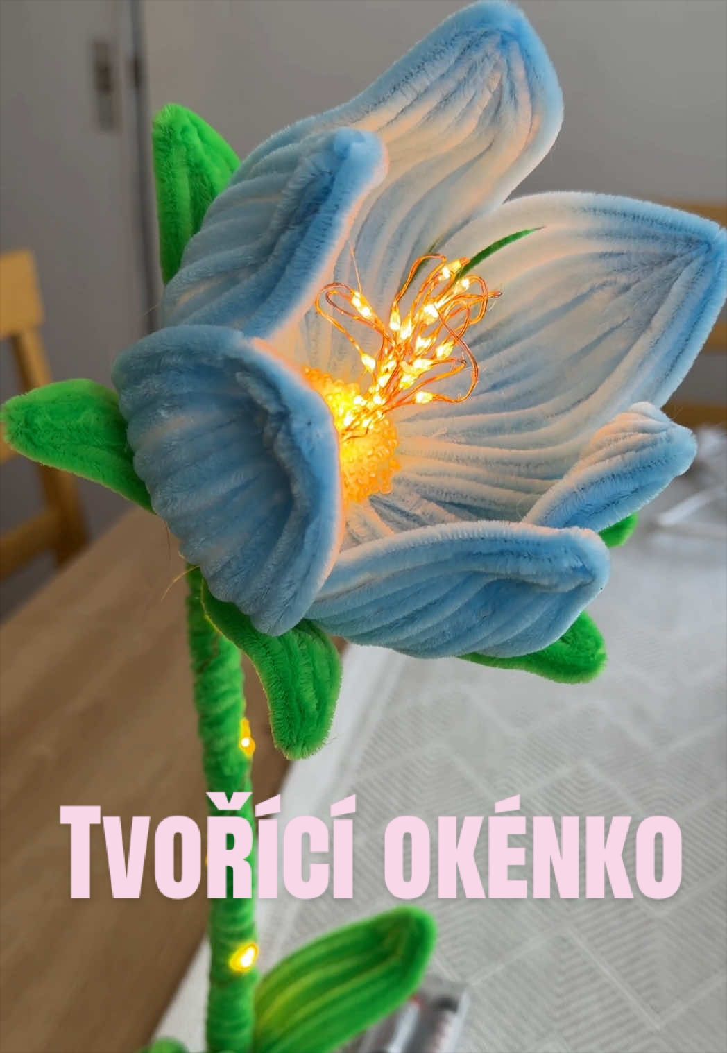 @Martina | Život se psem
