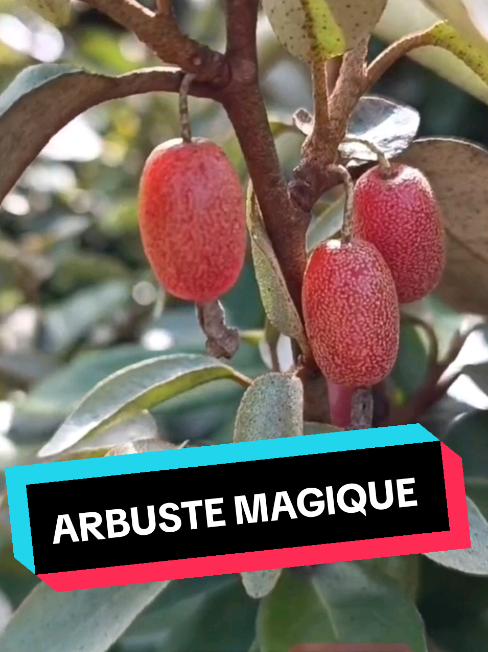 @Retour &agrave; la Terre