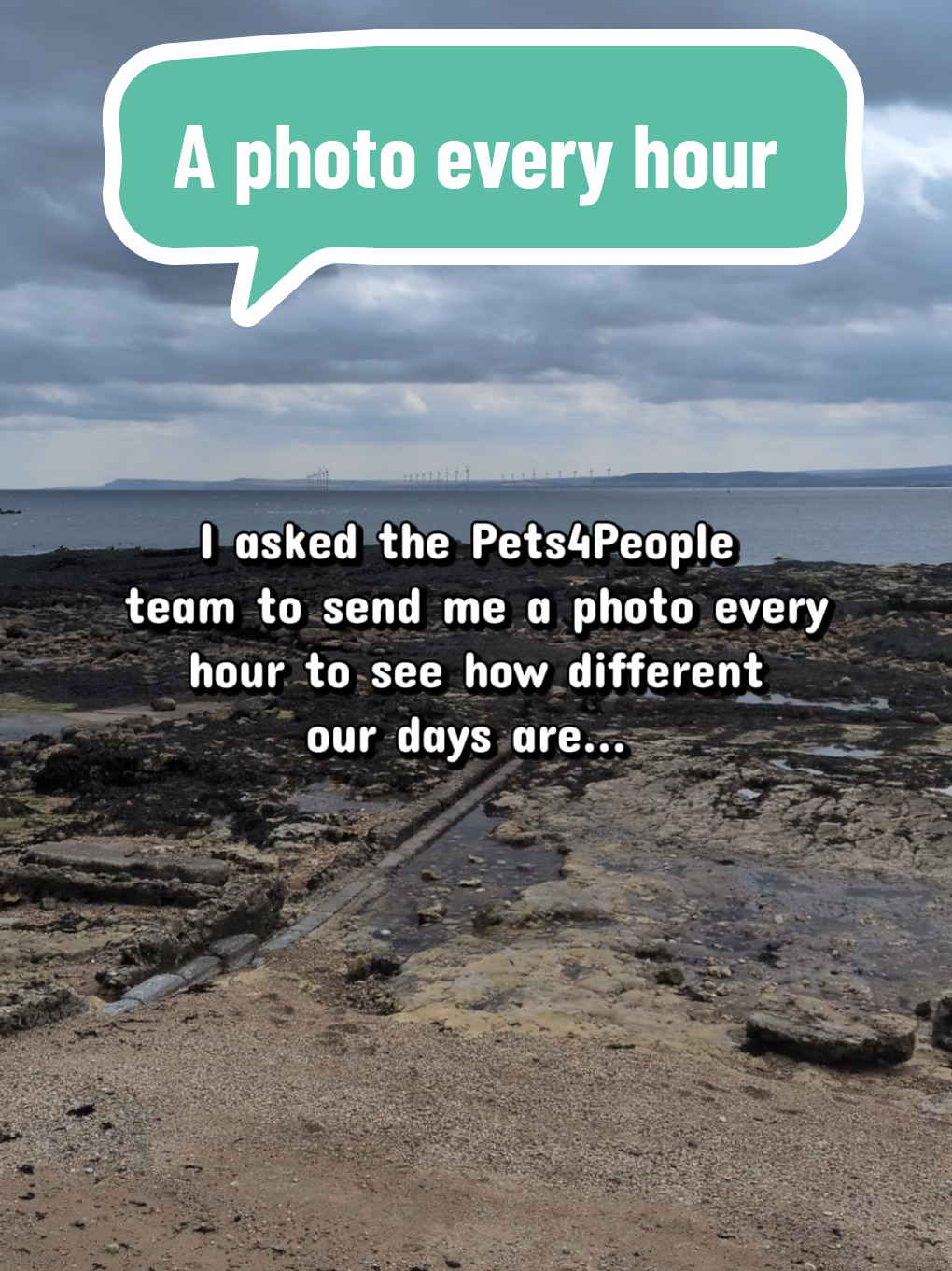 @Pets4people
