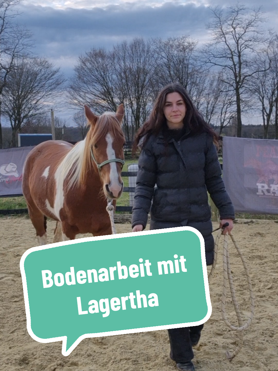 @Lisas kleine Ranch 🐴