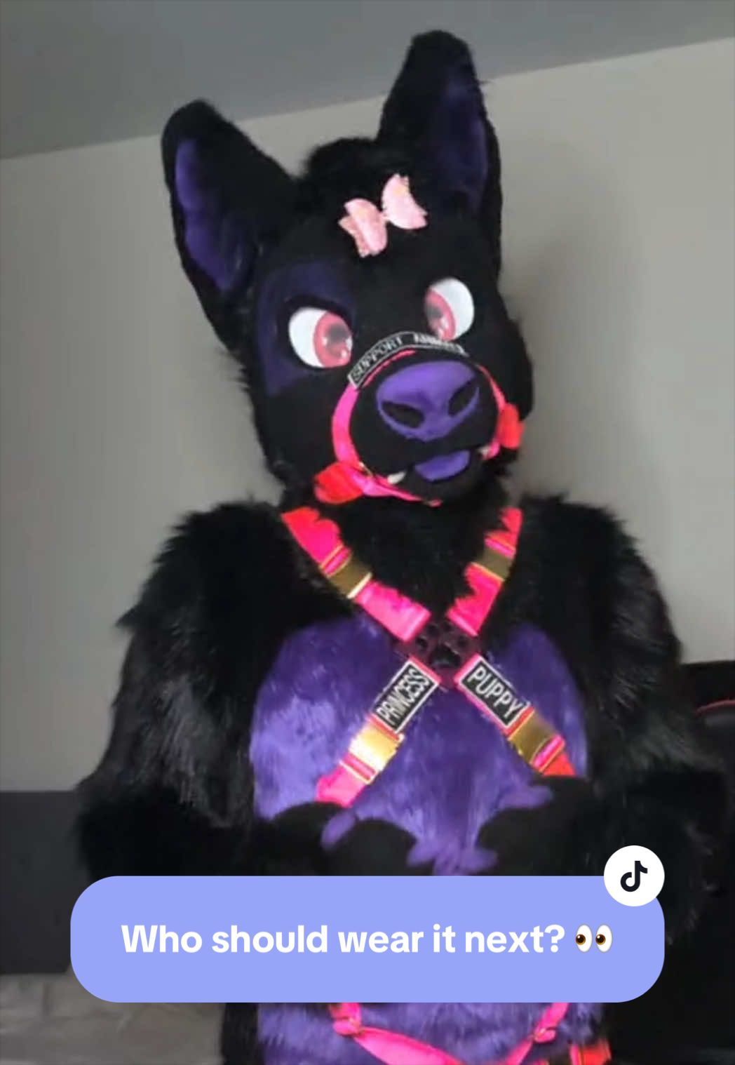 @Tyler Wusky