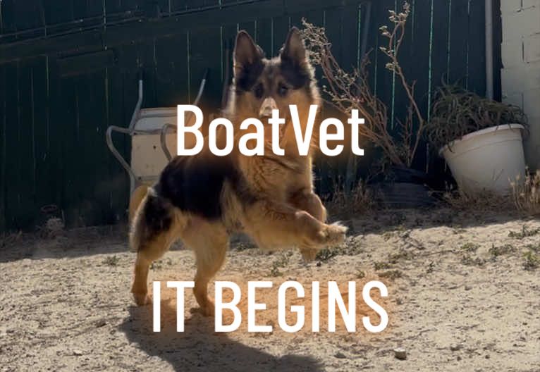 @BoatVet