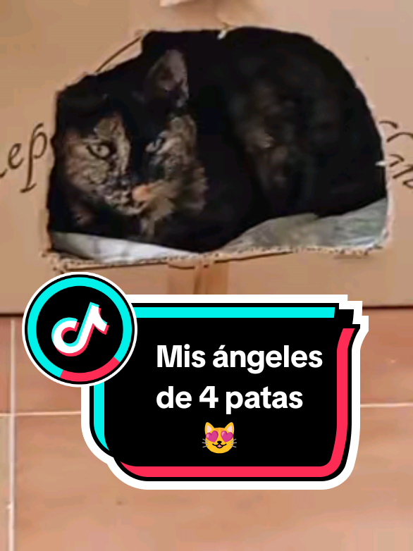 @Rosi Ramos