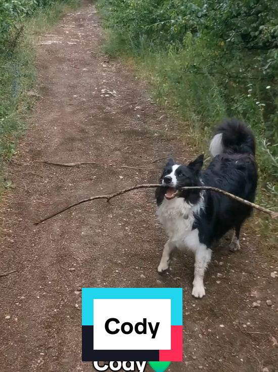 @Akt&iacute;van kuty&aacute;val
