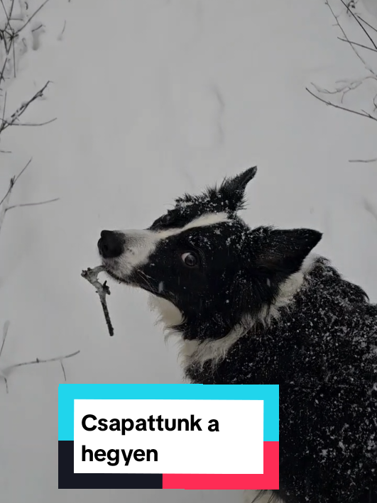 @Akt&iacute;van kuty&aacute;val