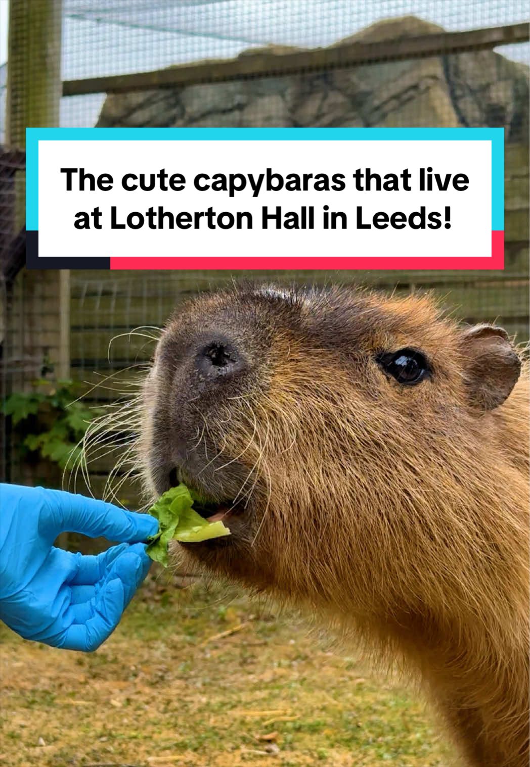 @Leeds+