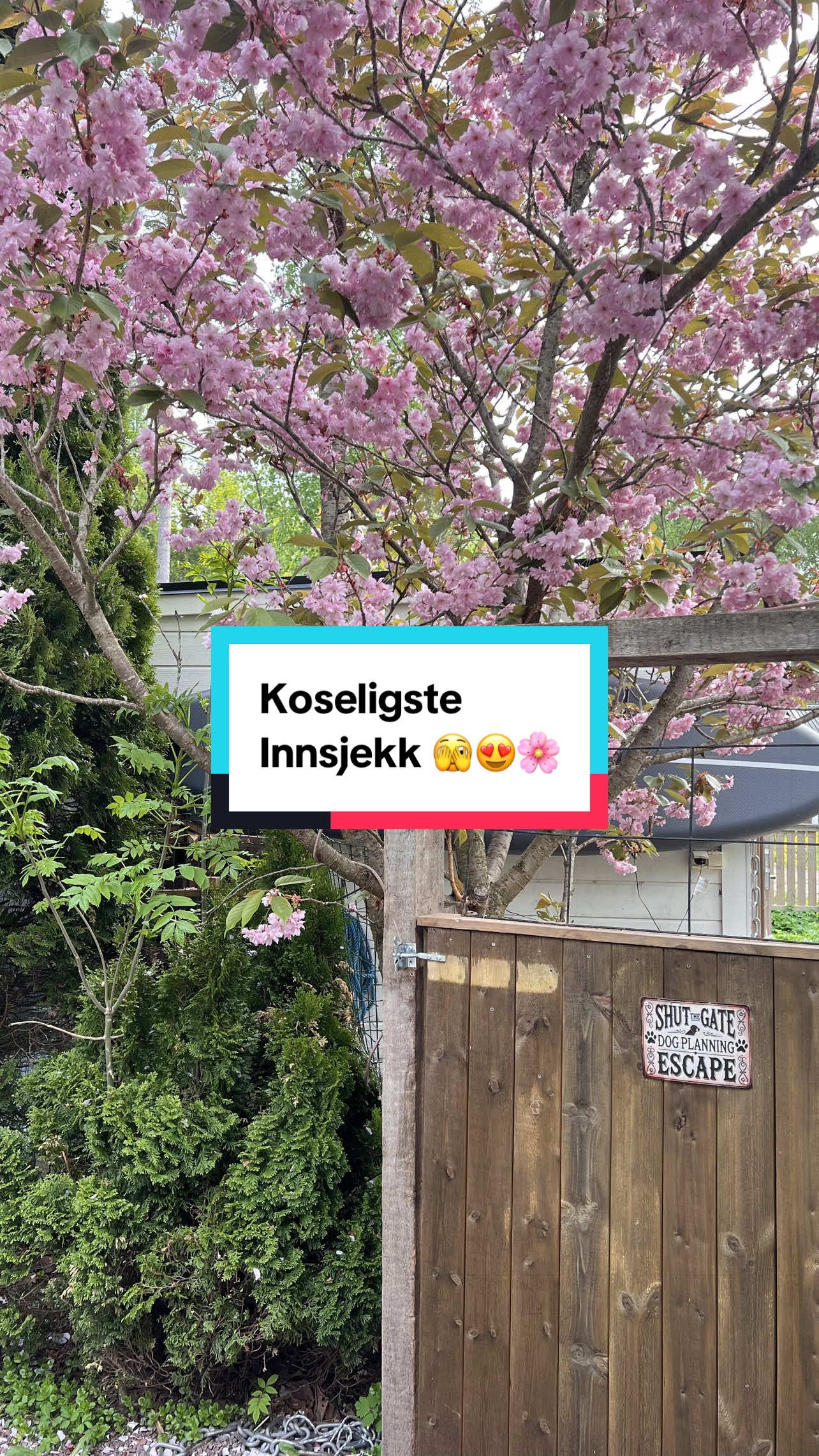@Teresa | Airbnb Host 🏡