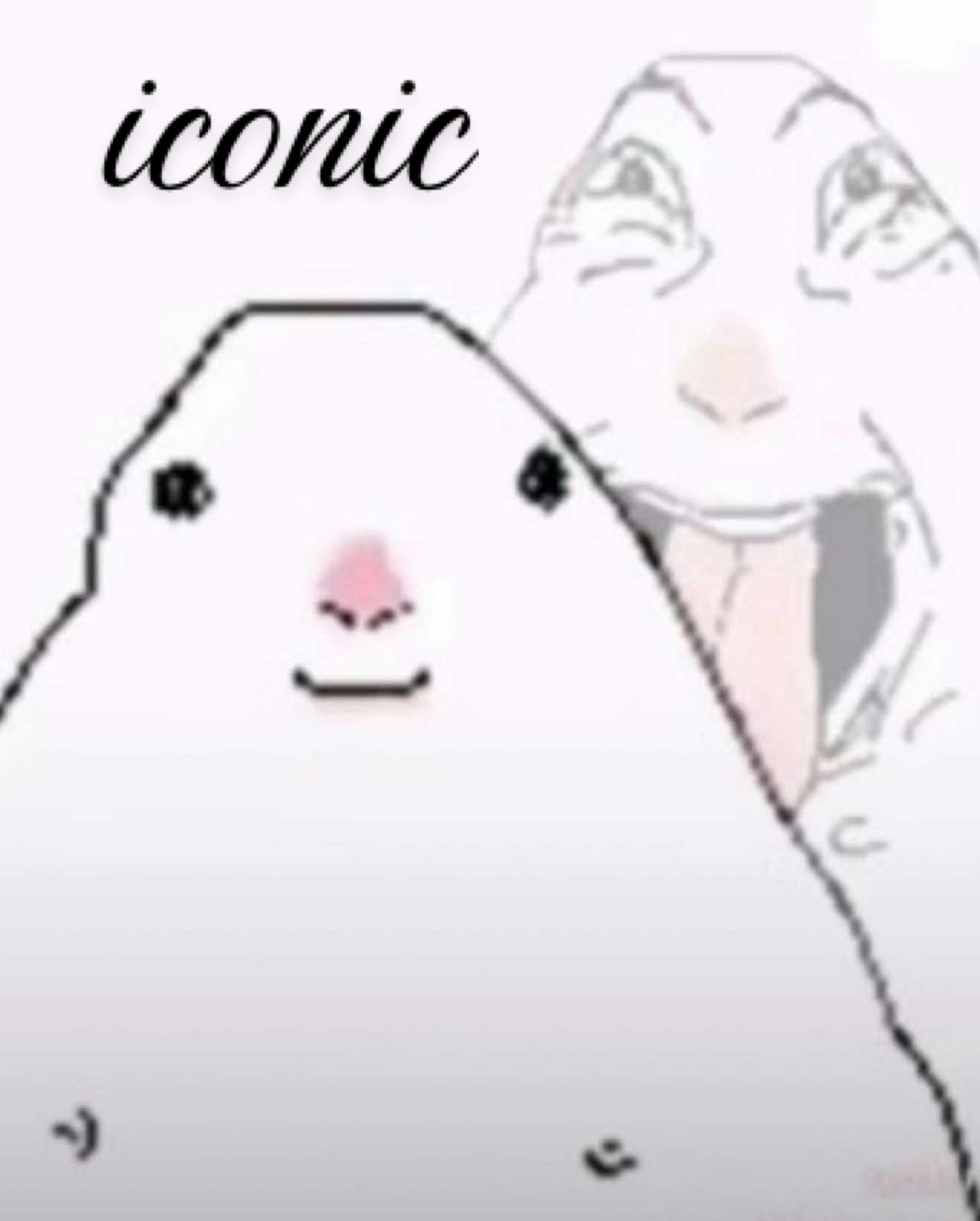 @𝓀𝒾𝓉𝓉𝓎