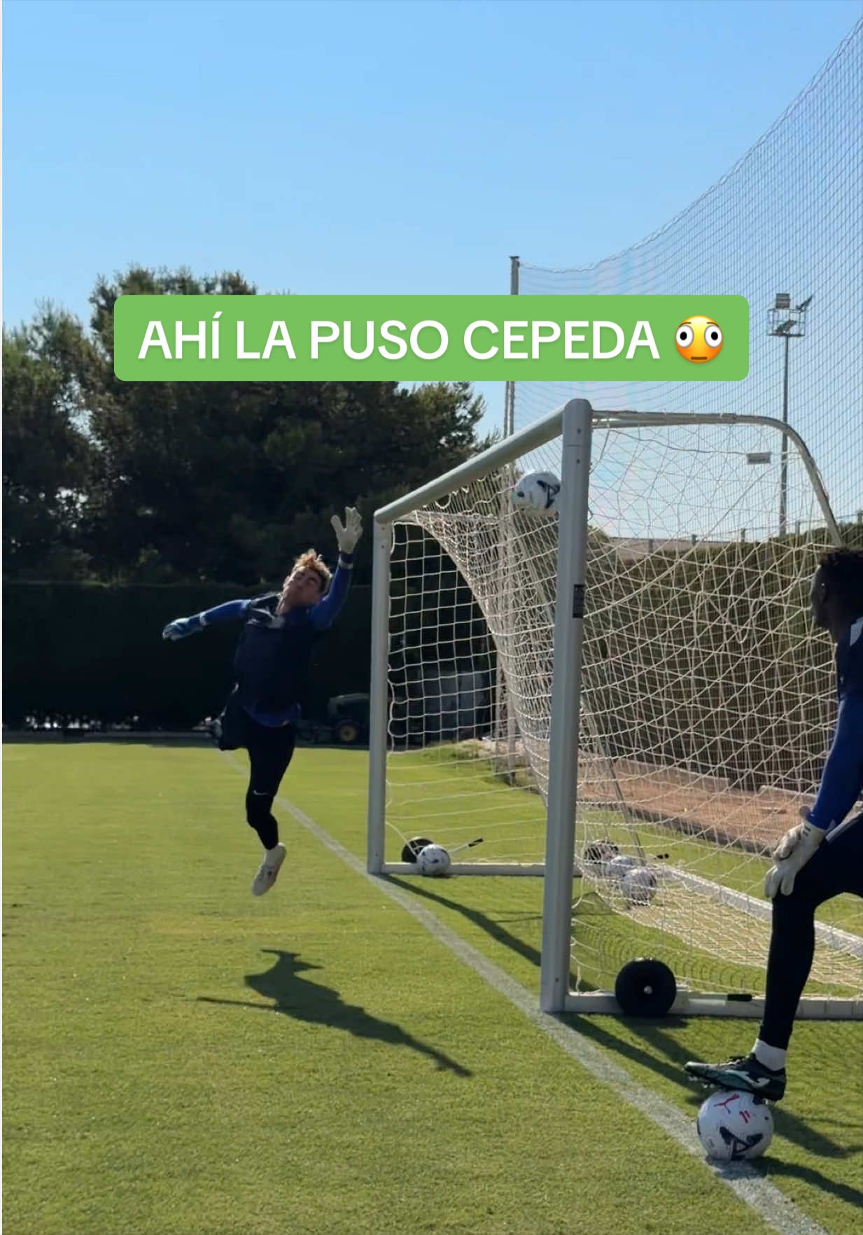 @Elche CF 🌴💚
