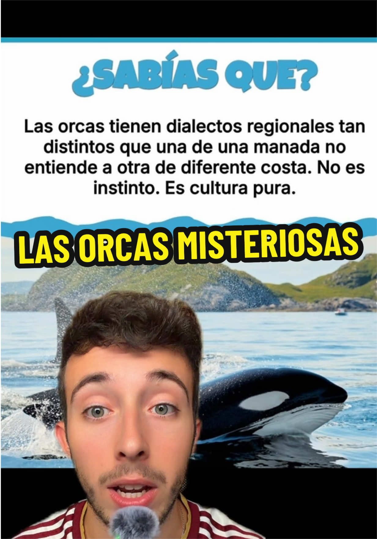 @ivanttops