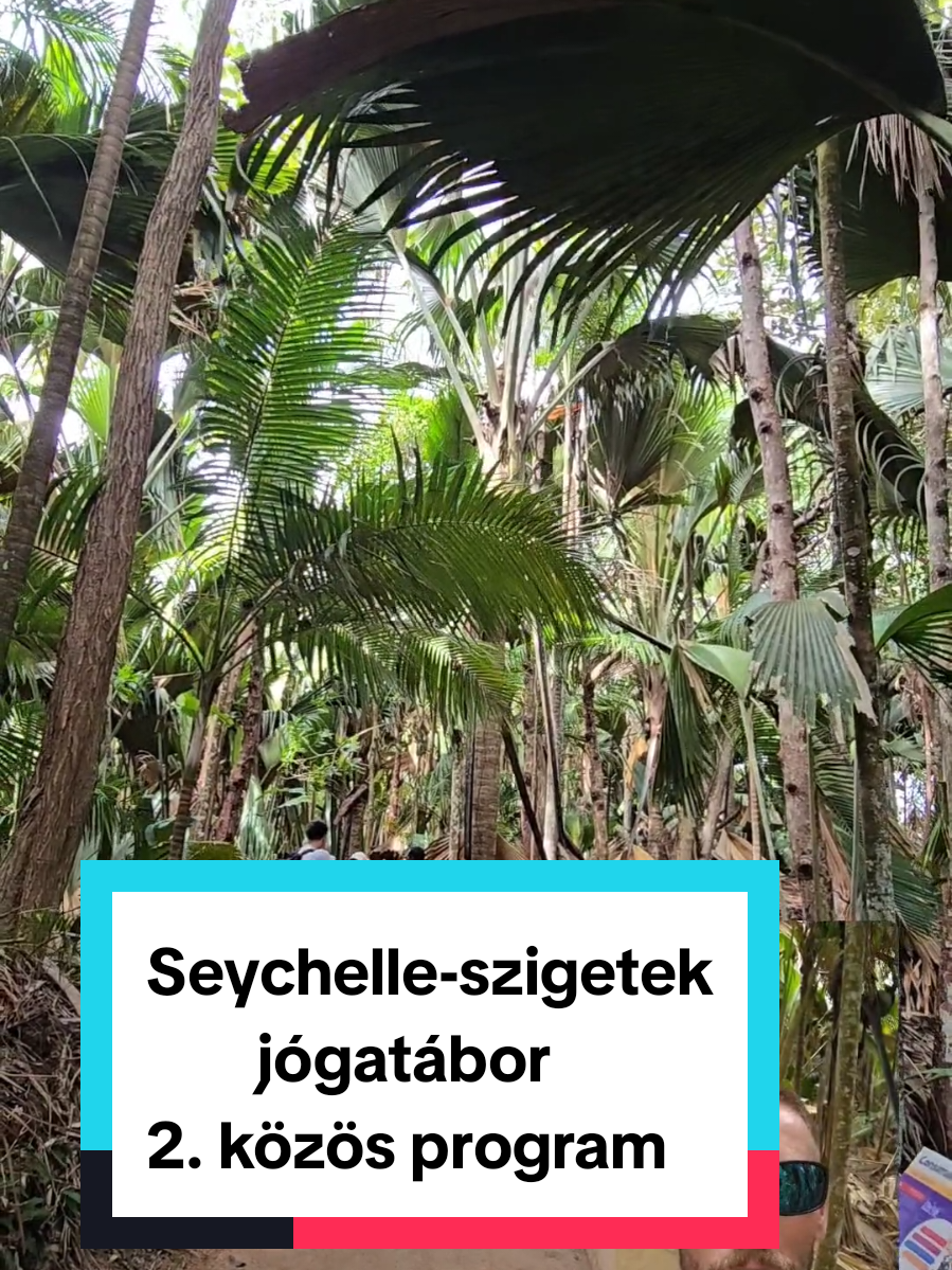 @J&oacute;ga Medvegy Gergely oktat&oacute;val