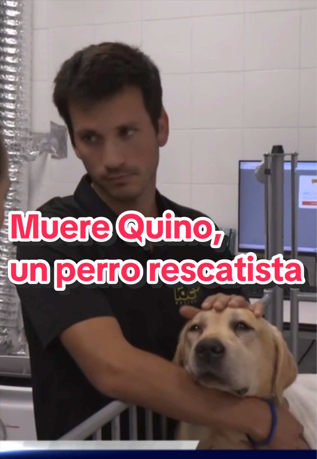 @Sorialfredo