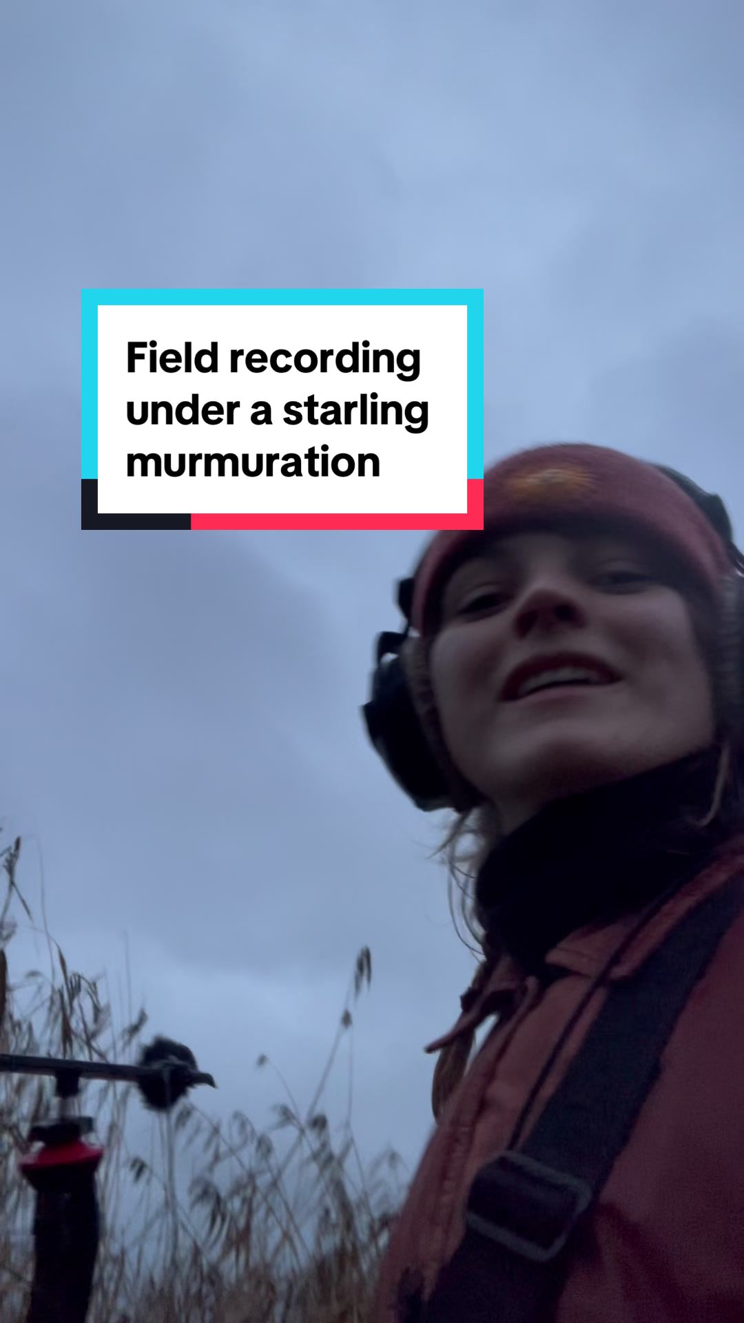 @Alice Boyd: nature music sound