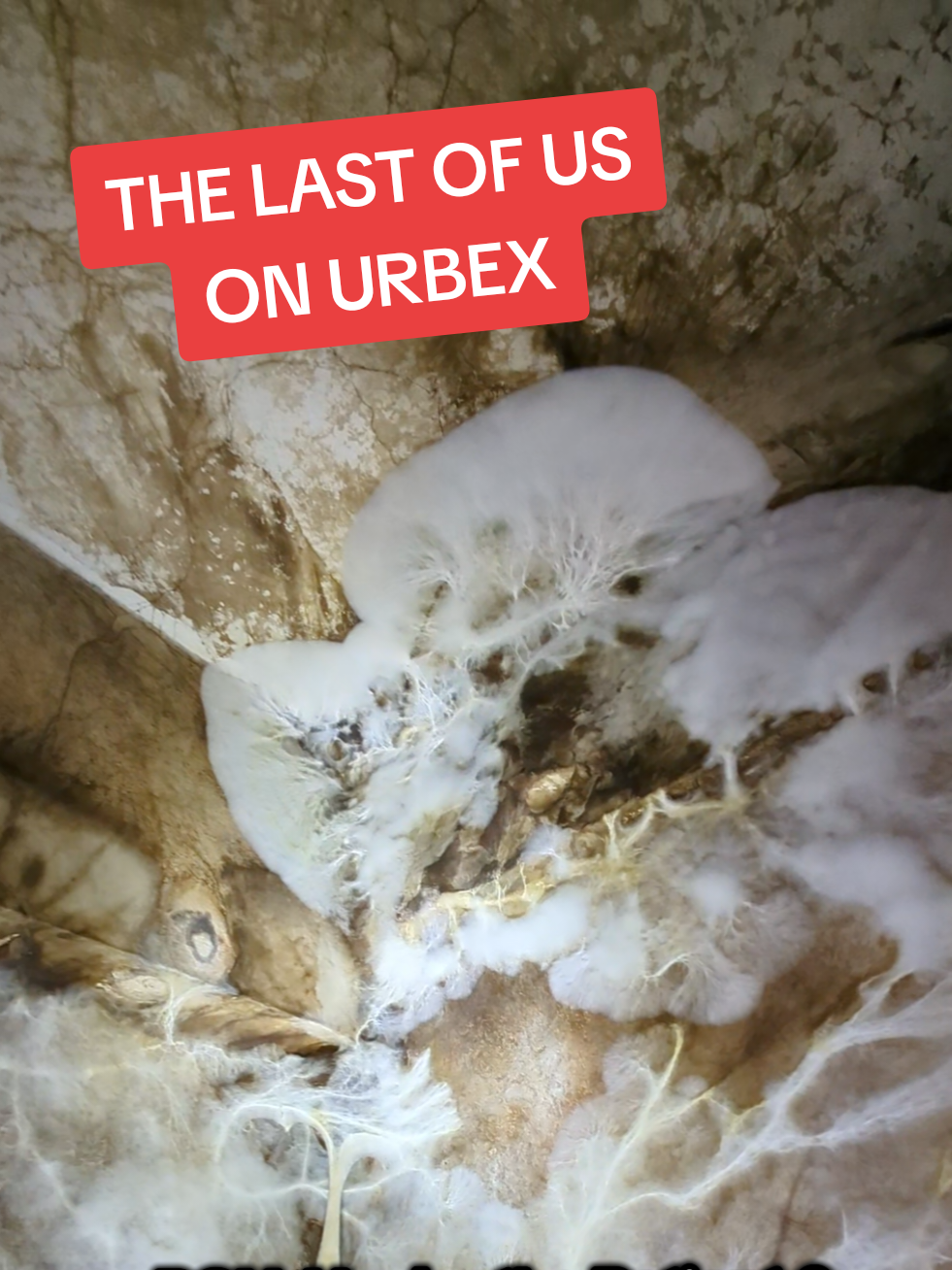 @DSSG URBEX