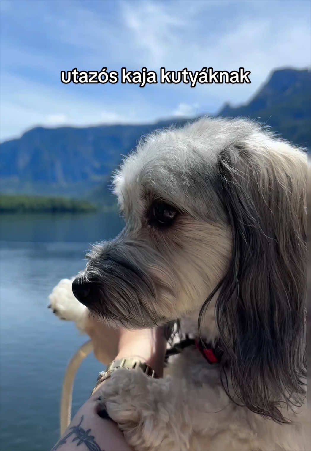@Kína