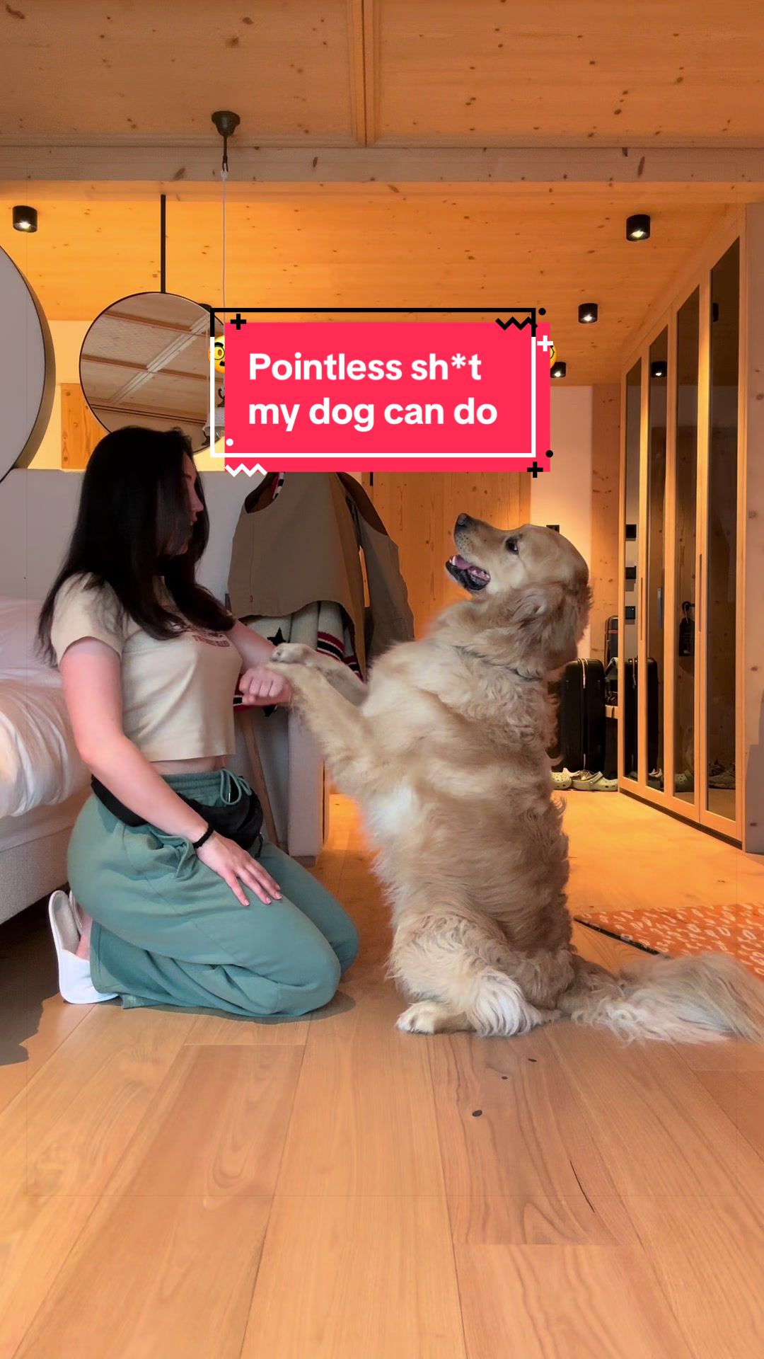 @Sheldon The Retriever