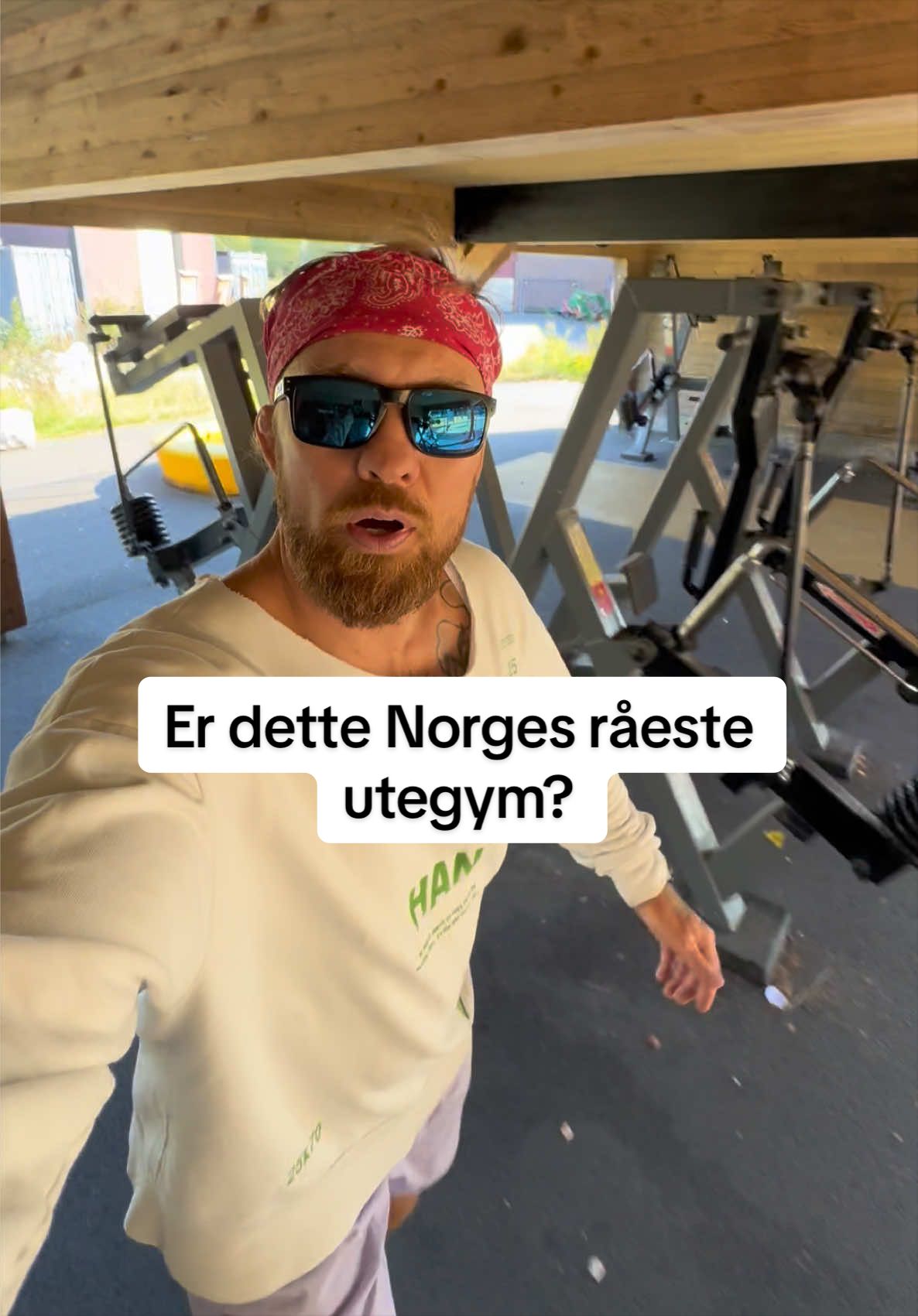 @fritzaanes