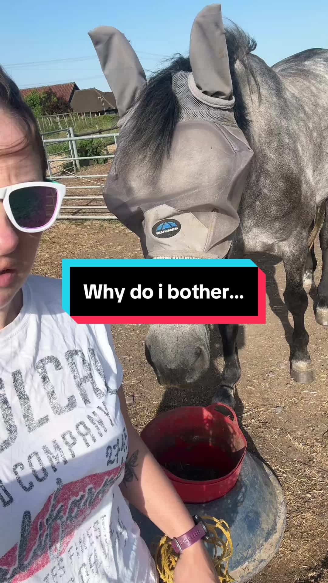 @Bex Foster 🐴