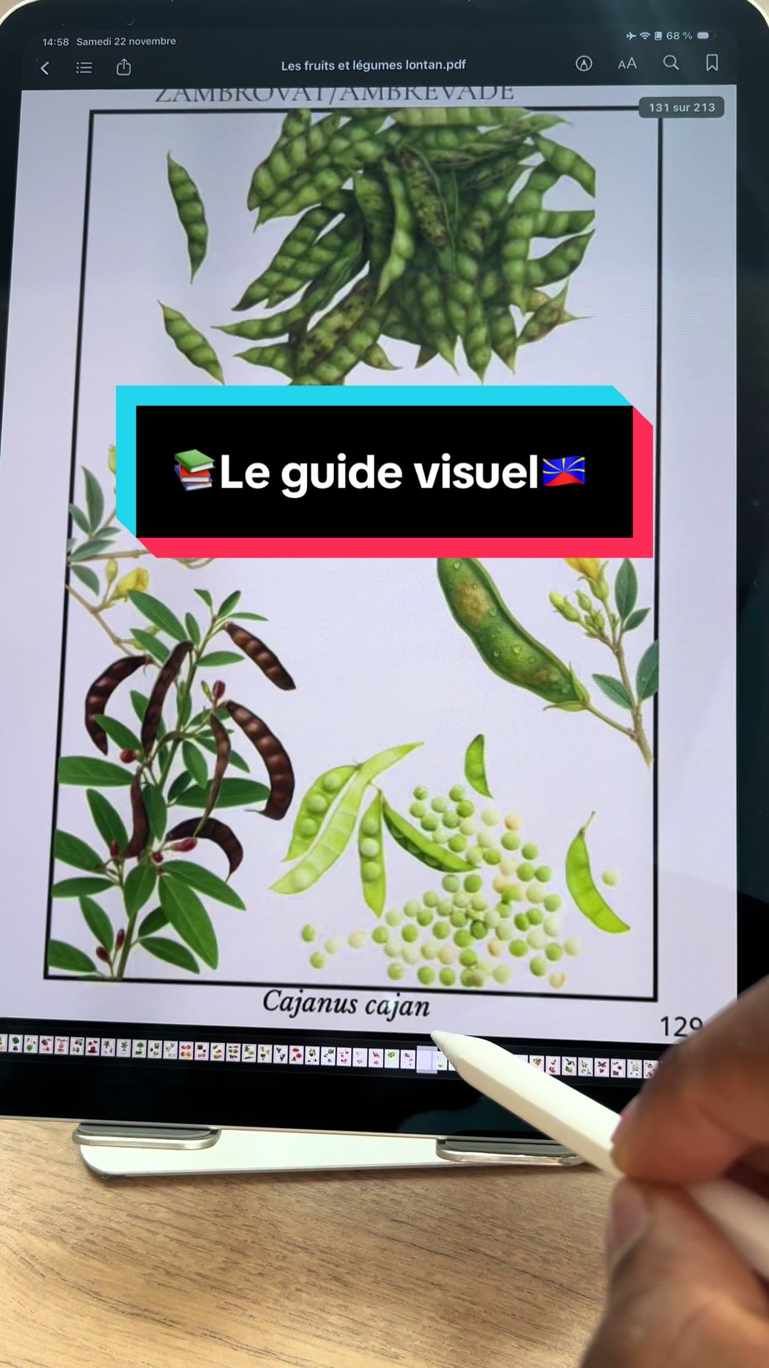 @KwéLaFé🟡🔵🔴