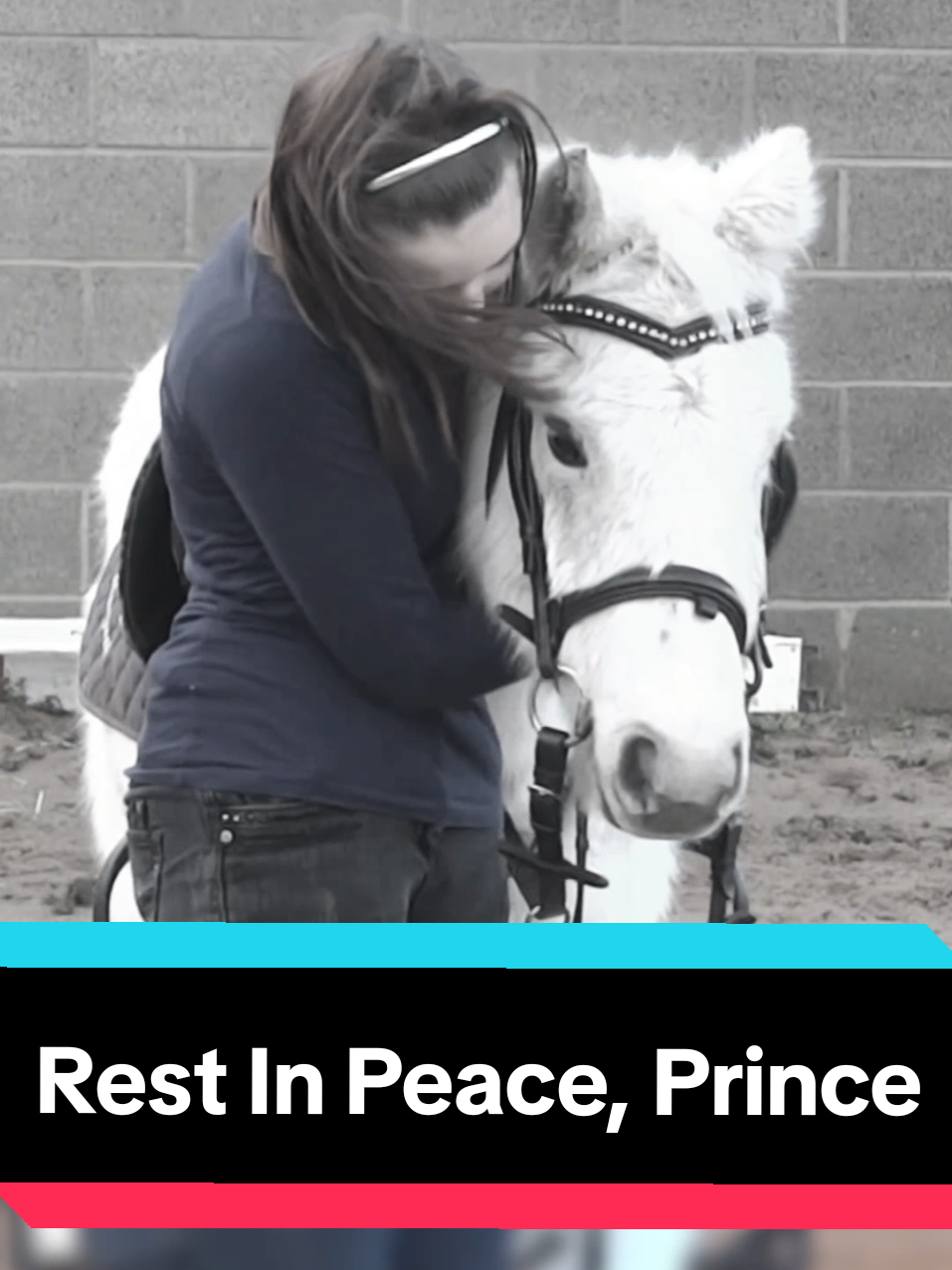@Caitlin Padgett- Para Rider