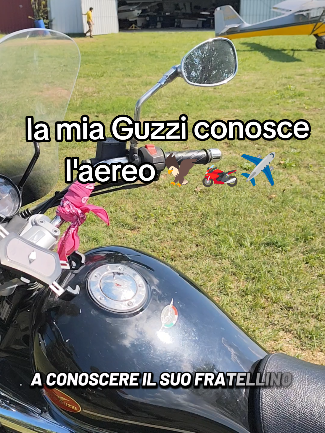 @ladyguzzista