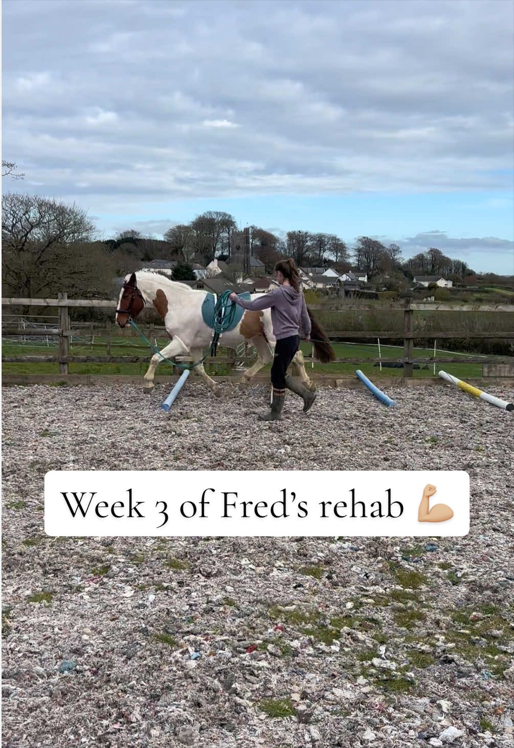 @Jess 🧠🐴🌱🐶