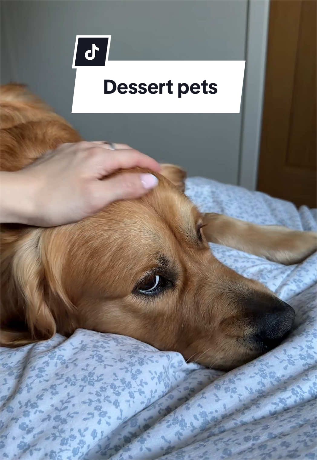 @Joey The Golden