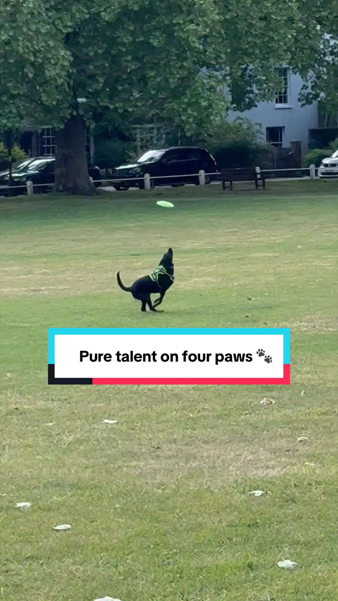 @𝐇𝐀𝐒𝐀𝐍