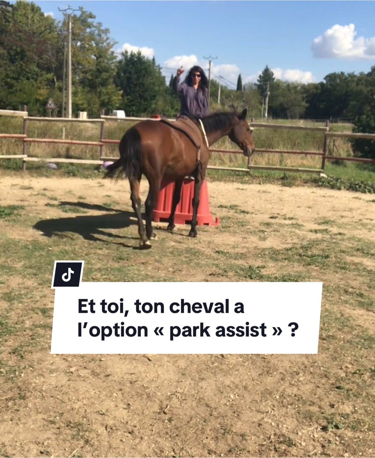 @Horsewoman Trip
