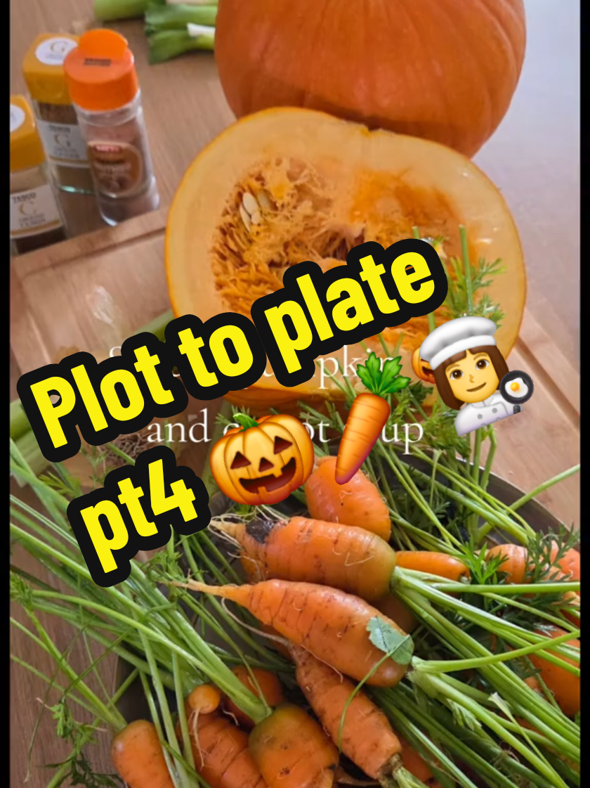 @Carrotman+Co ๐ฅ๐๐ธ