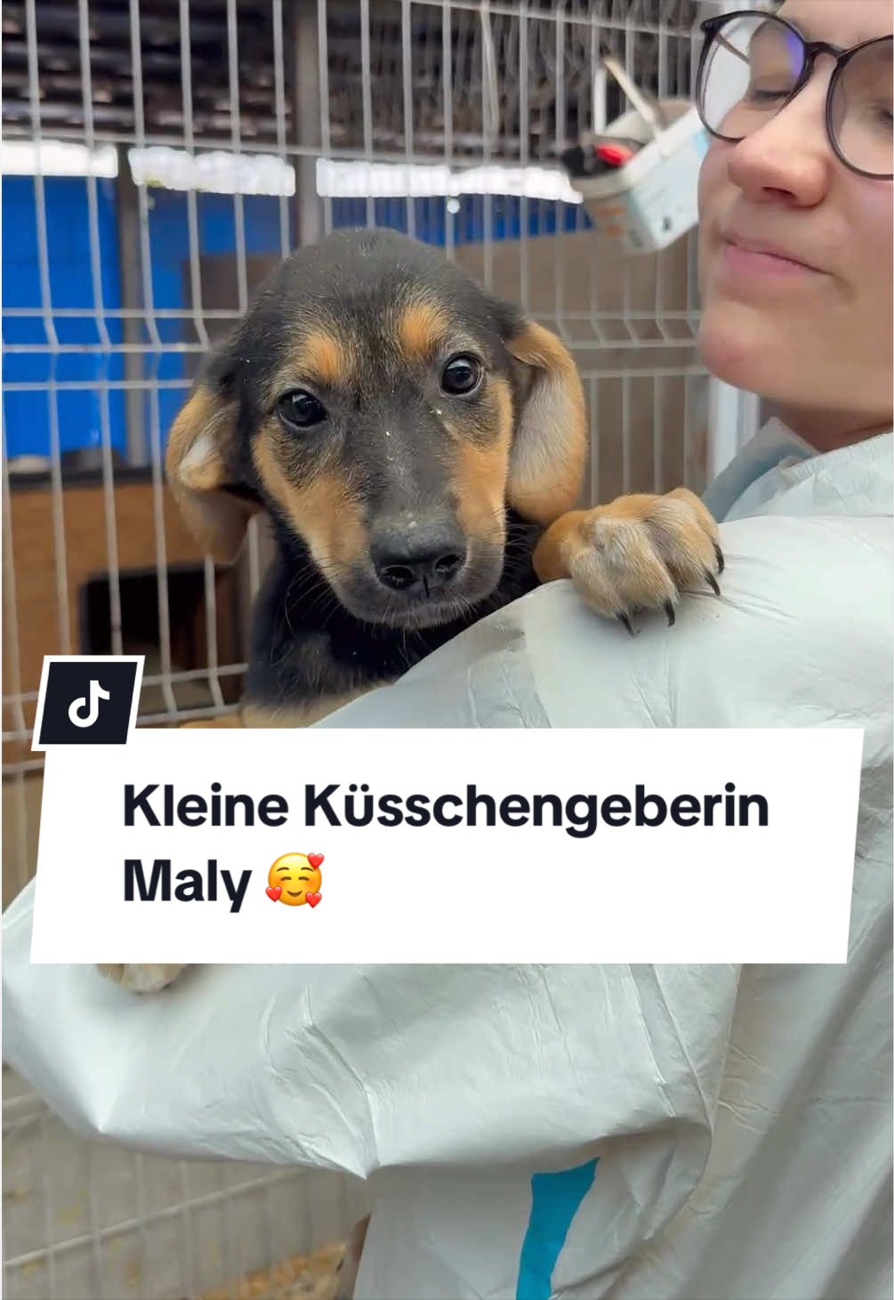 @Ein Herz für Streuner e.V.