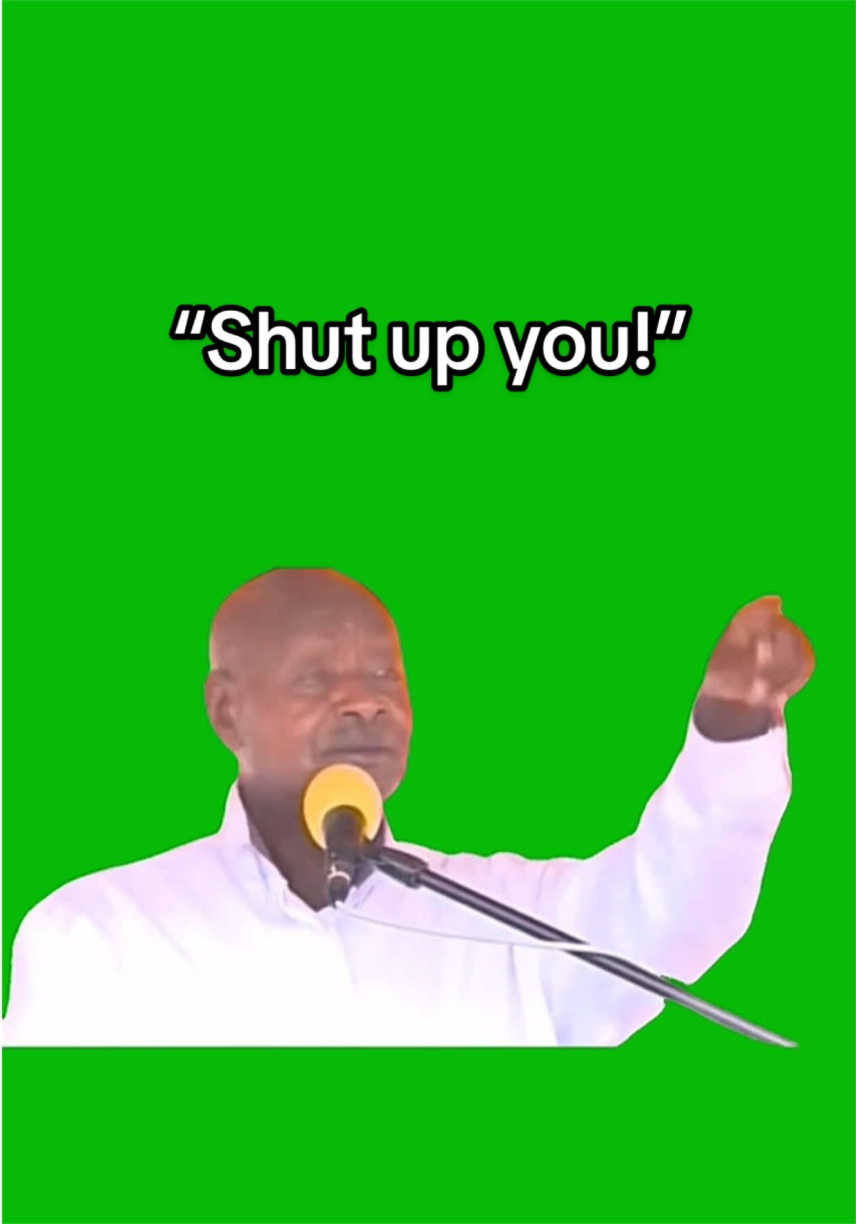 @Viral Green Screen Hub