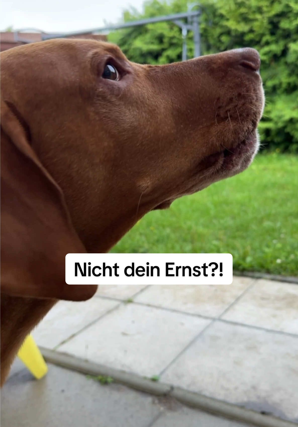 @Viola 🇩🇪 Alltag Panam&aacute; 🇵🇦