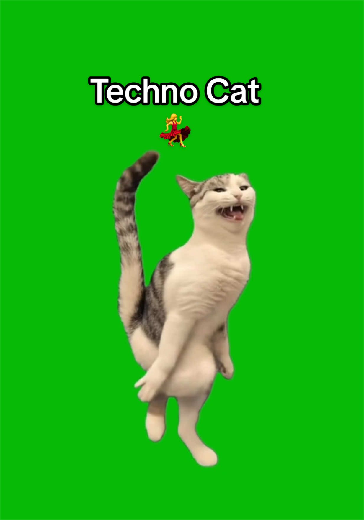 @Viral Green Screen Hub