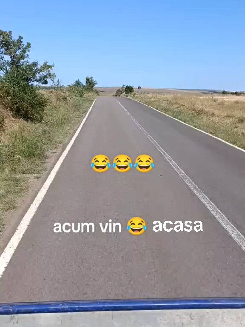 @lavilavinia🖤